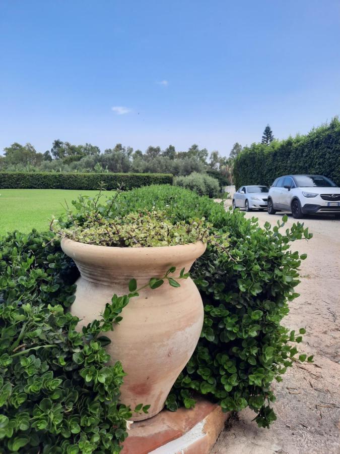 Villa Nina Fontane Bianche Bagian luar foto